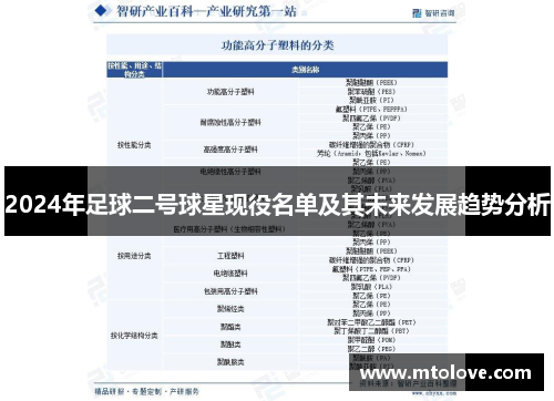 2024年足球二号球星现役名单及其未来发展趋势分析